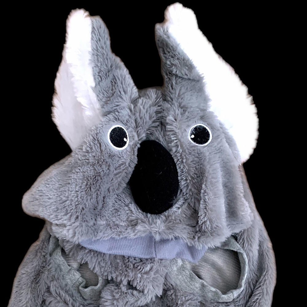 PET KOALA BEAR COSTUME NWT - Picture 2 of 13